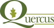 Quercus