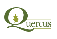 Quercus